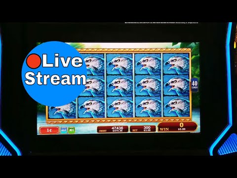 Live stream - 88984